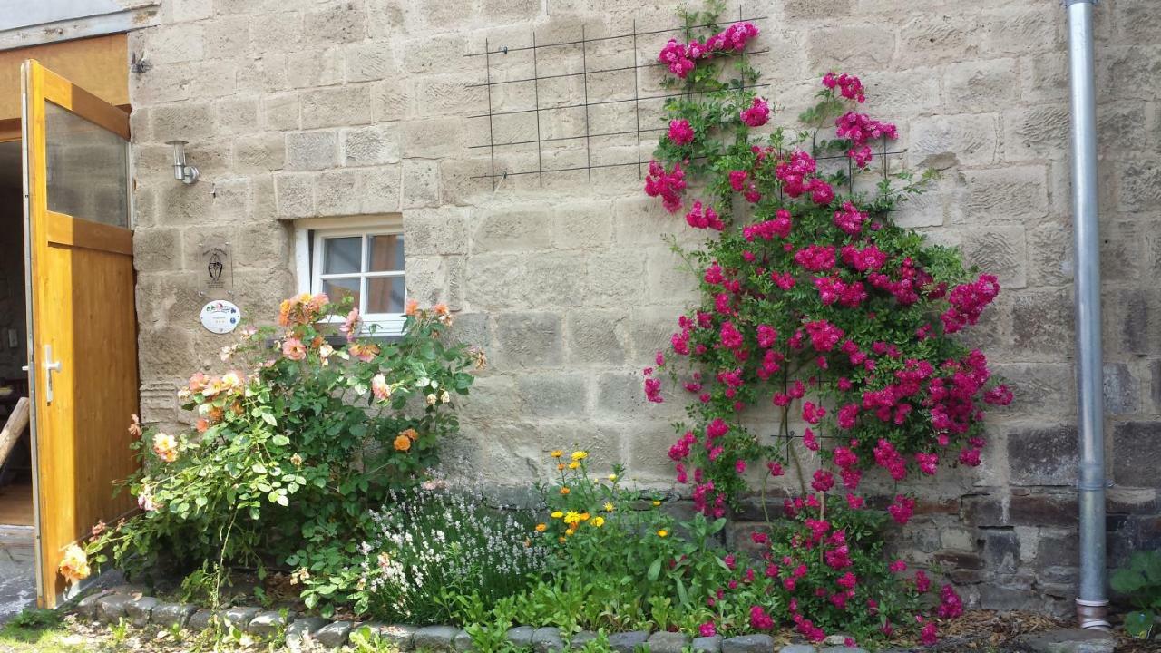 Bed and Breakfast Marcos Heuboden Oberzissen Exterior foto
